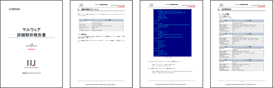 マルウェア検体解析オプション詳細解析報告書のイメージ