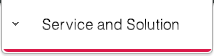 Service and Solution