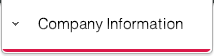 Company Information