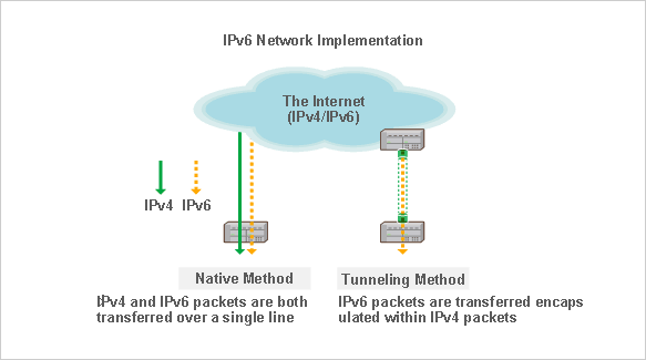 IPv6 Native Access Environment and IPv6 Tunneling Access Environmen