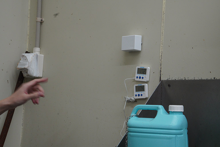 食品加工場の壁面に設置された温度センサー