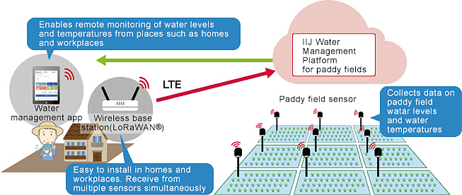IIJ water management platform for paddy fields