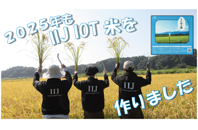 2025年もIIJ IoT米を作りました | IIJ Engineers Blog
