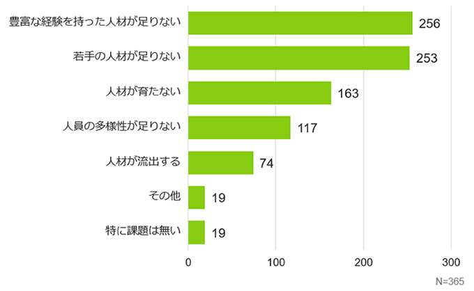 豊富な経験を持つ人材、若手の人材不足感が上位
            